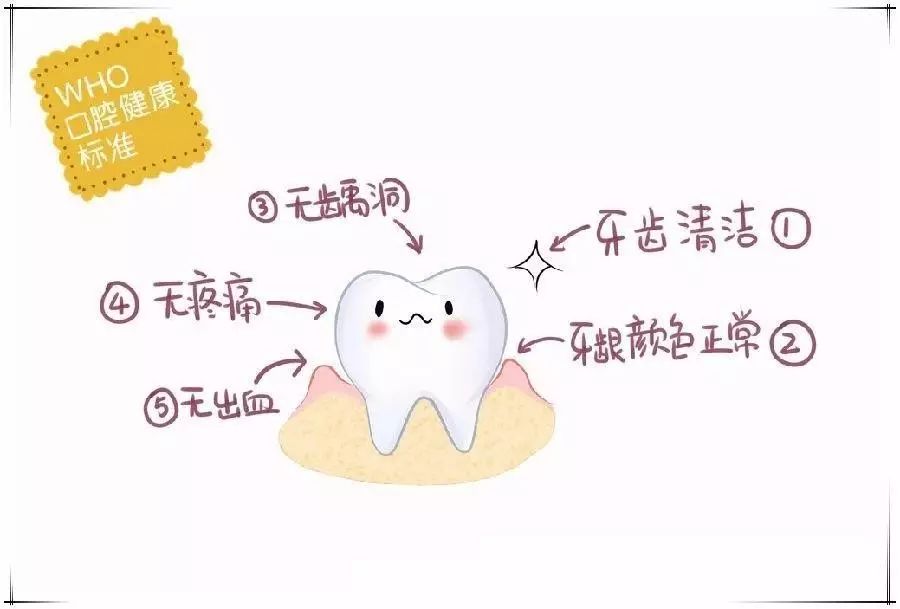 爱护牙齿不仅仅在爱牙日，口腔检查却须得定期2.jpg